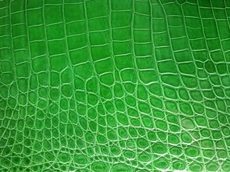 Crocodile leather APL5112
